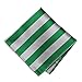 TieMart Kelly Green and Silver Striped Pocket Square