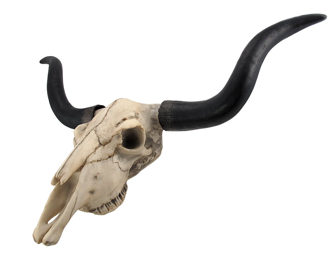 Long Wall Sculptures Horn Cow Skull Wall Hanging Longhorn Home Decor