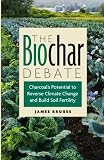 The Biochar Debate: Charcoal's Potential to Reverse Climate Change and Build Soil Fertility (Schumacher Briefings)