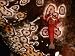 Emperor Shrimp on Leopard Sea Cucumber in Lion's Den Passage, Wakaya Wall, Fiji Photographic Poster Print by Casey Mahaney, 24x18