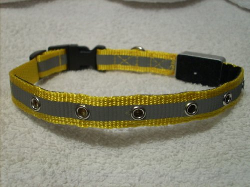 LED Hundehalsband smart Yellow