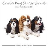 Kalender 2011 Cavalier King Charles Spaniel - Studio