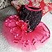 PanDaDa Pet Dog Cat Glitter Red&Black Tutu Dress Lace Skirt L