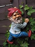 Gartenzwerg Zaunkletterer Zwerg Henry 30 cm Garten Deko