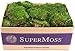 SuperMoss (21538) Mood Moss Preserved, Fresh Green, 3 Pounds