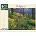 Search : Tim Fitzharris-Wildflowers