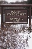 Poetry State Forest (New Directions Paperbook)