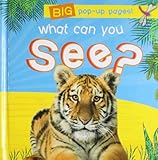 What can you see?