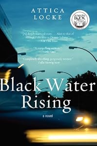 Image of Black Water Rising: A Novel
