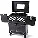 Travelmall Professional Makeup Artist Rolling Makeup Cosmetic Train Case Lockable Organizer with 4 Wheels (black)