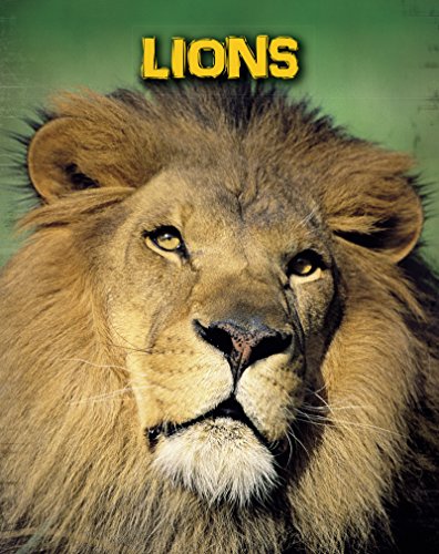 Lions (Living in the Wild: Big Cats)