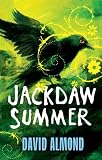 Children & Baby Books : Jackdaw Summer