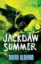Jackdaw Summer