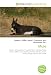 Mule: Donkey, Chromosome, F1 hybrid, Hinny, Infertility, Mare, Horse, Stallion, Jenny (donkey), African Wild Ass, Jennet, Kiang, Onager, 40 acres and a mule