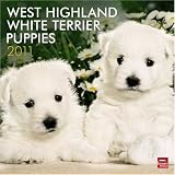 West Highland... West Highland...