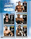 WWE - Smackdown Superstars - Mini Poster - 40cm x 50cm