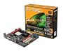 Zotac GF8100-A-E GeForce 8100 AM2 2XDDR2-1066 MAX 4GB Motherboard