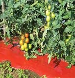 Mulch SRM Red 4 Feet Wide x 100 Feet Long by David's Garden Seeds (vob)