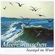 Meeresrauschen - Seev�gel im Wind