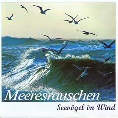 Meeresrauschen - Seev�gel im Wind