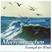 Meeresrauschen - Seev�gel im Wind L=0: my-fan-page.de