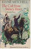 The colt from Snowy River : a brumby story