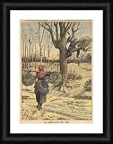 GATHERING MISTLETOE - Framed 16x12 Print (40x30cm) by Mary Evans