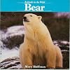 Bear (Animals in the Wild)