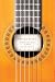 Book Practicing: A Musician's Return to Music