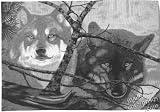 Wolf Eyes Throw Blanket for Everyone who Loves Wolves
