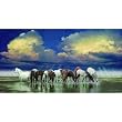 The Sentinels 500pc Jigsaw Puzzle by John Enright