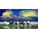 The Sentinels 500pc Jigsaw Puzzle by John Enright
