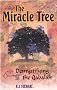Miracle Tree: Demystifying the Qabalah