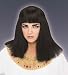 Cleopatra Wig Adult Halloween Costume Accessory [Apparel]