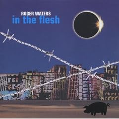 In the Flesh - Live