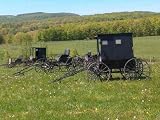Amish Buggys - 24