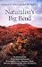 Naturalist's Big Bend: An Introduction to the Trees and Shrubs, Wildflowers, Cacti, Mammals, Birds, Reptiles and Amphibians, Fish, and Insects (Louise Lindsey Merrick Natural Environment)