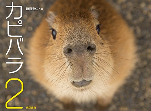 カピバラ2