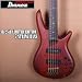 Ibanez SR5XXV Limited Edition Bass Guitar