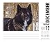 Spirit of the Wolf 2017 Box Calendar