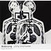 Bodysong (Greenwood)