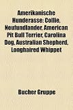 Amerikanische Hunderasse: Nova Scotia Duck Tolling Retriever, Neufundländer, American Pit Bull Terrier, Australian Shepherd, Carolina Dog, Longhaired ... Chihuahua, Blue Lacy, Olde English Bulldogge