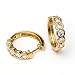 0.7 Carat 14KYG Diamond Hoop Earrings