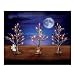 Forest of Fright Halloween Village Accessory Set by Hawthorne Village