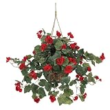 Begonia Silk Hanging Basket - B0033QEW20