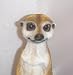 Meerkat & Pup Garden Figurines_s-2