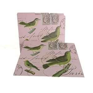Green Birds on Pink 12 Vintage Design Manila Folders