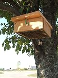 Songbird Essentials Cedar Upside Down Suet Box