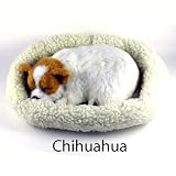 Chihuahua Pet Nap Life Like Breathing Dog in Bed with Printed carry box