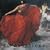 1st Tindersticks Album [Includes Bonus Disc]